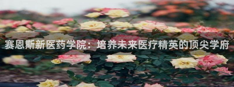 ag九游会老哥