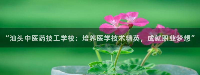 九游会j9官网入口登录新版
