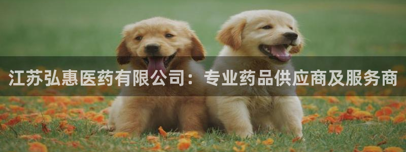 j9九游会在线登录