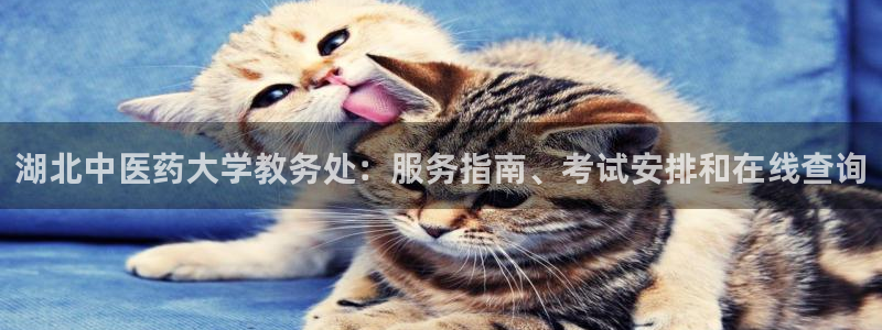 j9九游会中国