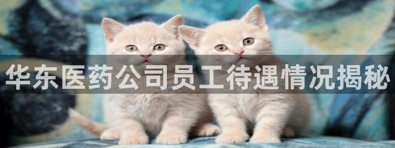 九游会app下载版官网正版手游