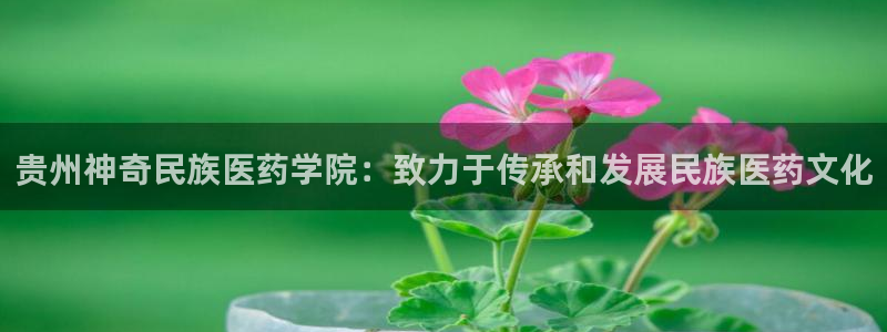 九游会官网入口ag亚洲