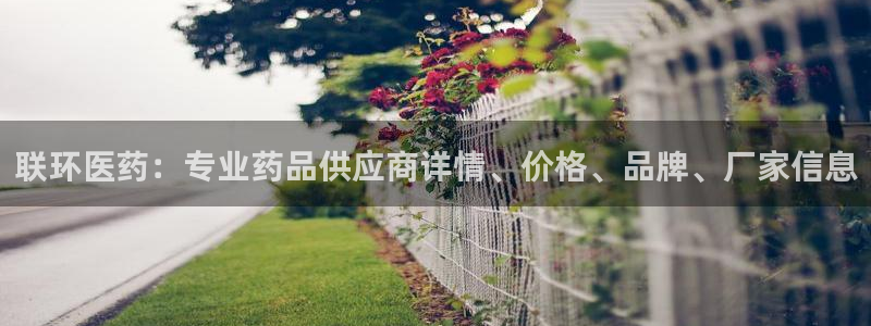九游会是什么组织