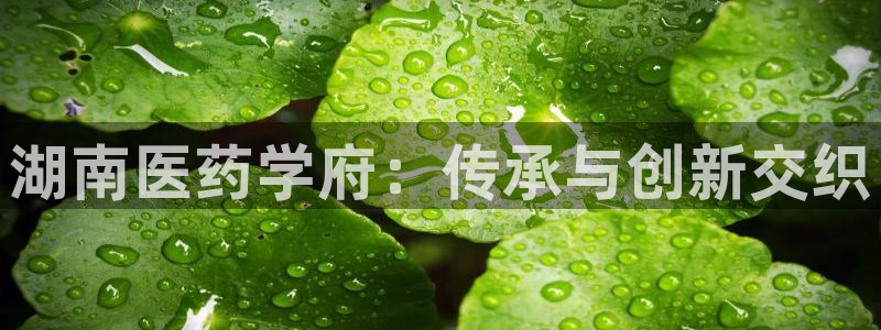 九游官网j9活动介绍