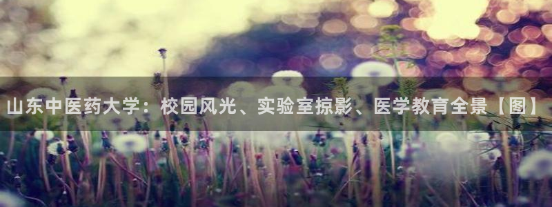 九游会是ag吗