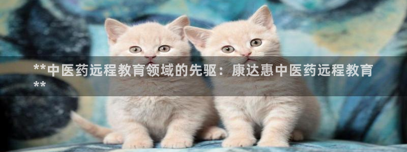 9游会官方网站