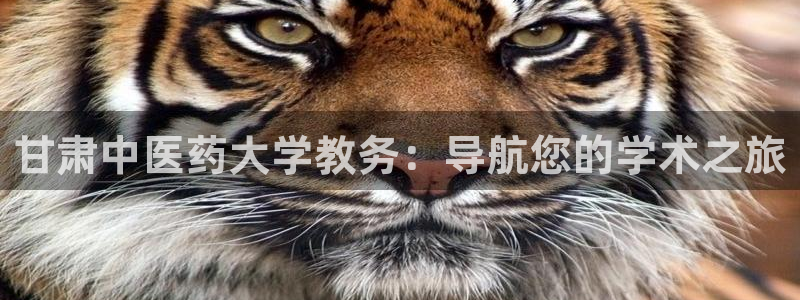ag九游会下载