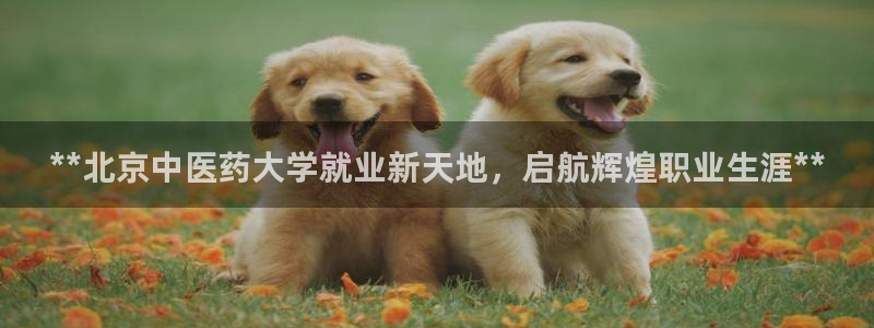 九游会官方选网址是j9.cm