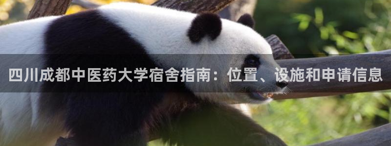 九游j9会 - 真人游戏第一品牌