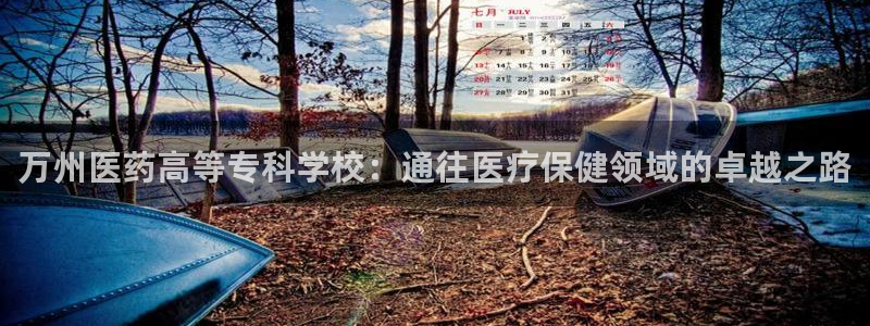 j9九游会体育