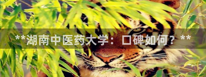 九游会老哥俱乐部官网首页论坛
