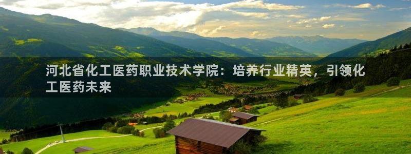 j9九游会官方网站国际怎么样
