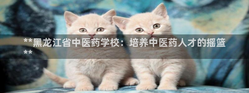 j9九游会首页入口试