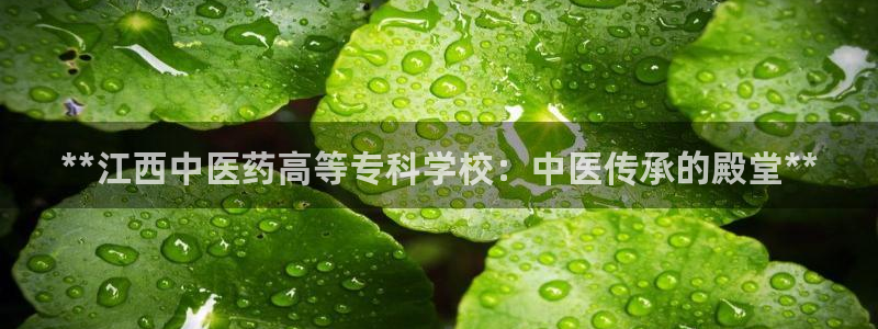 九游会真假