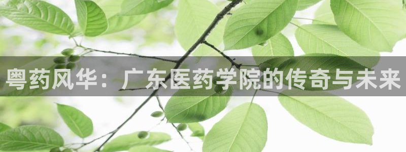 九游会登陆中心