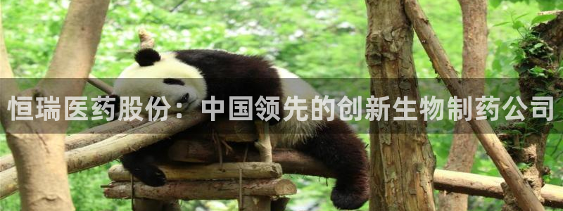 九游会跟ag是怎么一回事