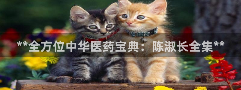 j9九游会老哥俱乐部官网