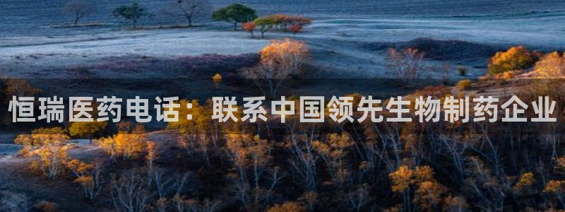 j9九游会中国