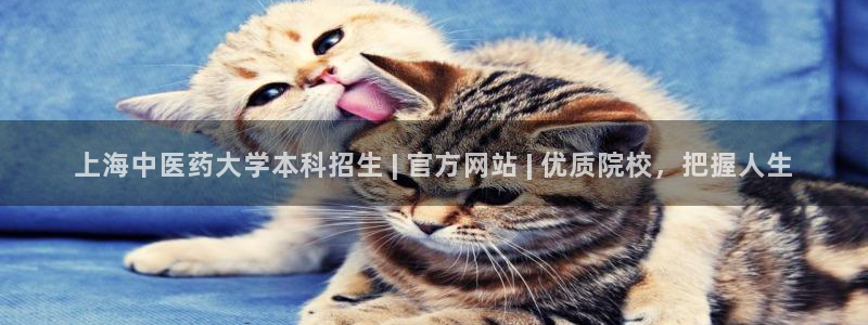 九游会官网登录首页