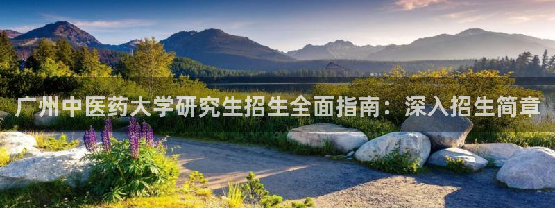 ag九游会官网网址
