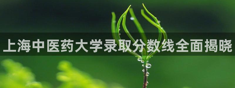 j9九游会首页登录新版