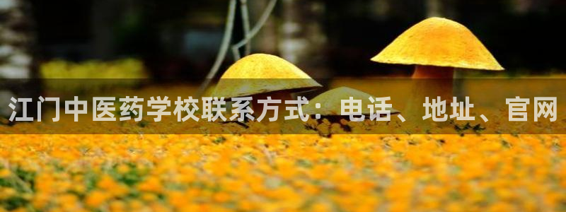 J9九游会app