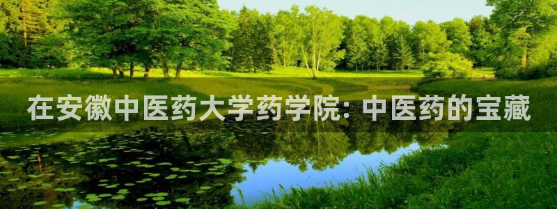 j9九游会老哥俱乐部官网