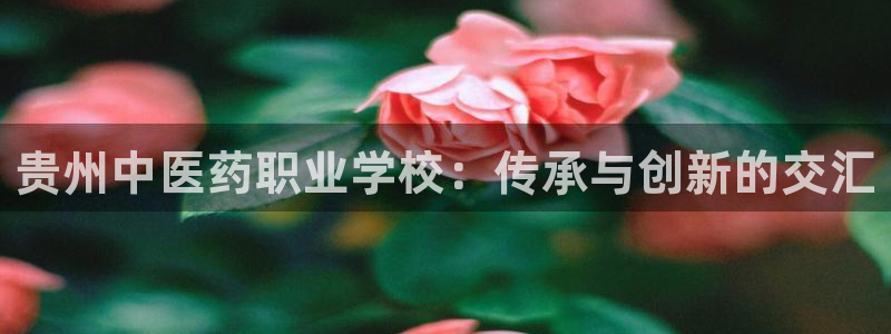 J9九游会能退款吗