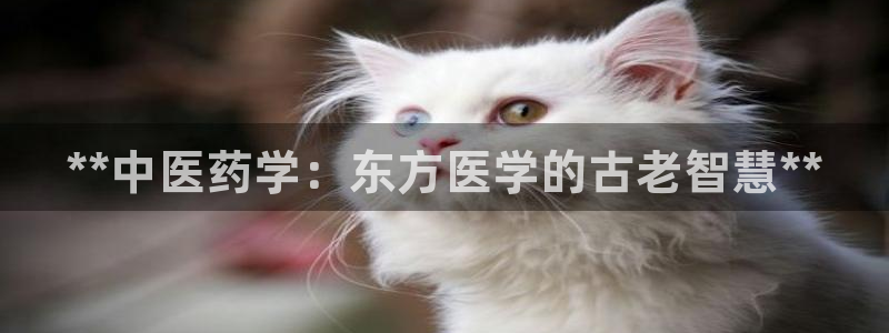 j9九游会老哥俱乐部成员