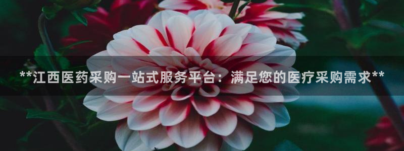 九游会进入