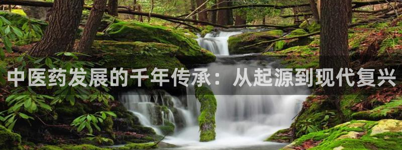 j9九游会导航