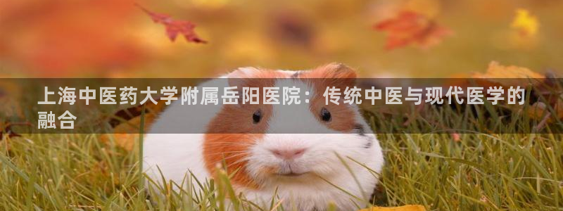 九游会集团货币
