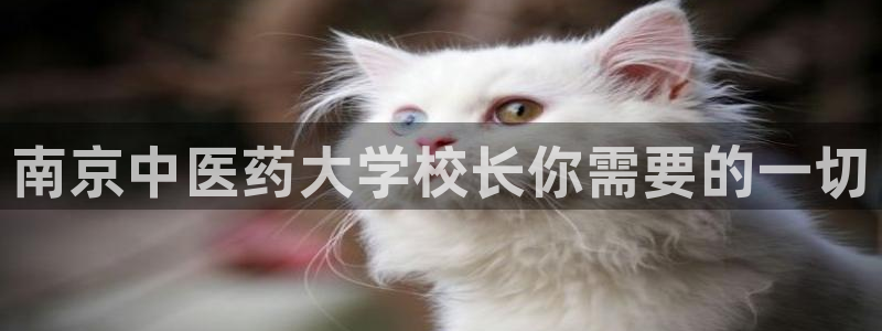 九游会网页