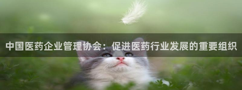 九游老哥俱乐部官方网站