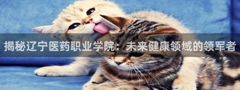 九游会集团官网
