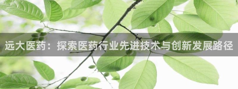 j9九游会真人游戏第一