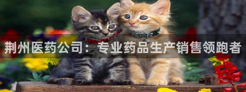 九游会网址最新