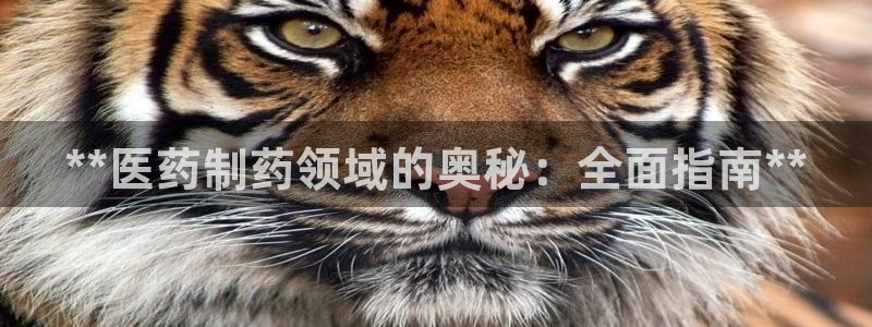 九游会登录网站吗知乎