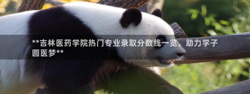九游会老哥俱乐部官方网站