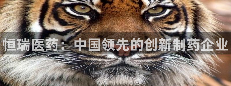 九游会网址九