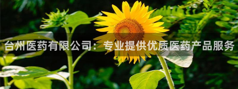九游会首页进入