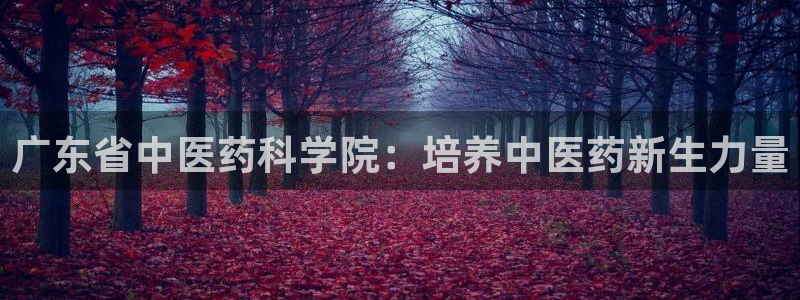 九游会集团国际