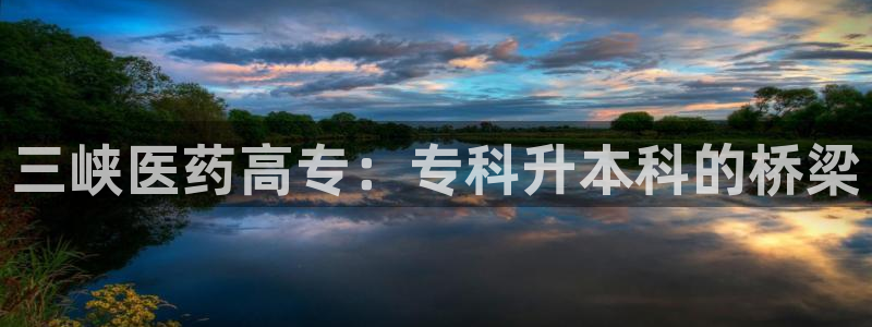 九游会j9官网网站