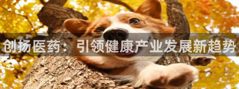 九游会ag老哥俱乐部