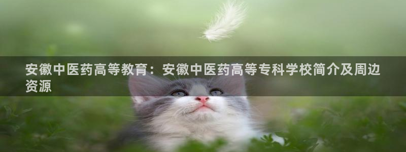 九游会官网页登录