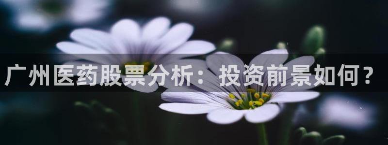 九游会网址登陆