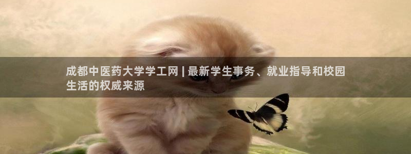 九游会主页