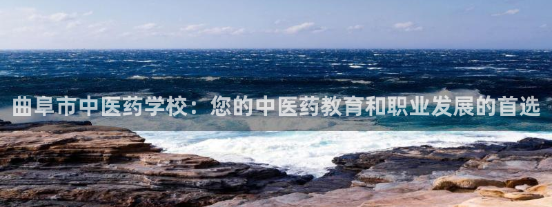 j9九游会网址是什么