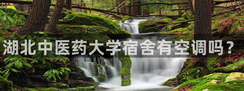 九游会官网j9