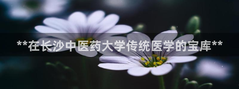 九游会官网网址是多少